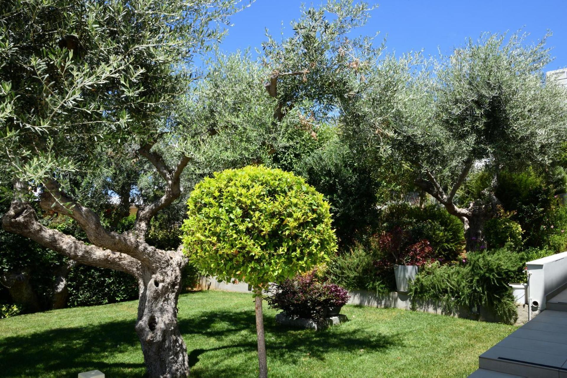 חאניה Sunlight Breeze Villa מראה חיצוני תמונה