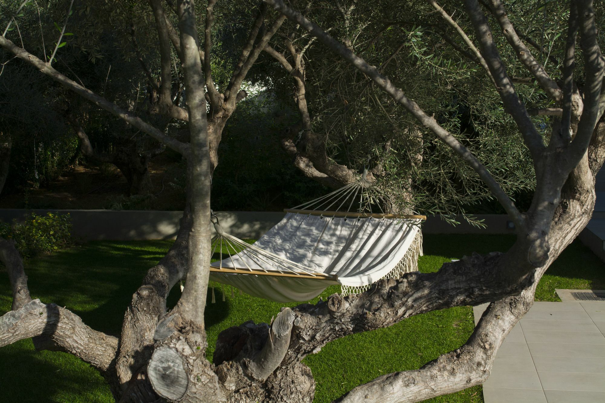 חאניה Sunlight Breeze Villa מראה חיצוני תמונה